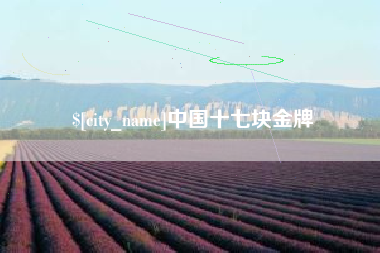 高平中国十七块金牌
