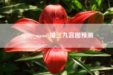 高平排三九宫图预测