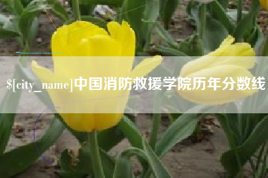 高平中国消防救援学院历年分数线