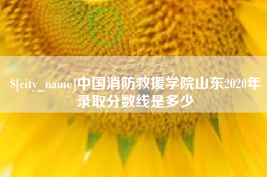 高平中国消防救援学院山东2020年录取分数线是多少