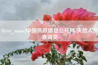 高平中国执政信息公开网-失信人员查询页