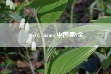 高平中国第9金