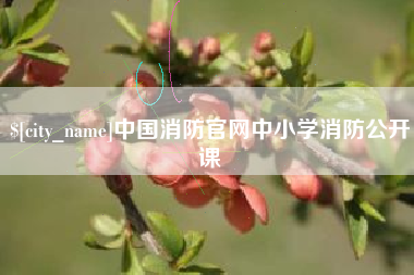 高平中国消防官网中小学消防公开课