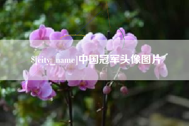 高平中国冠军头像图片