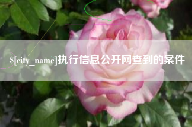 高平执行信息公开网查到的案件