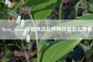 高平中国执法公开网征信怎么查询