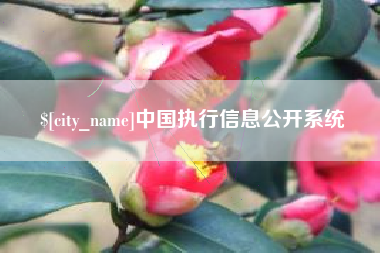 高平中国执行信息公开系统