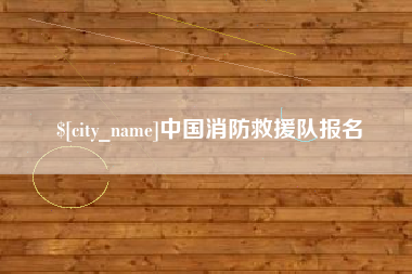 高平中国消防救援队报名