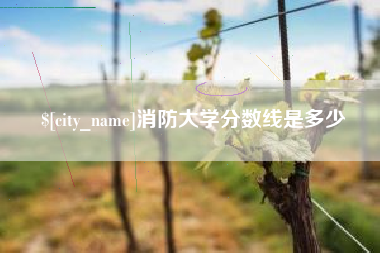 高平消防大学分数线是多少