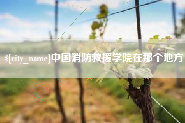 高平中国消防救援学院在那个地方