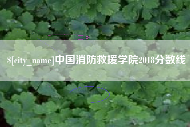 高平中国消防救援学院2018分数线