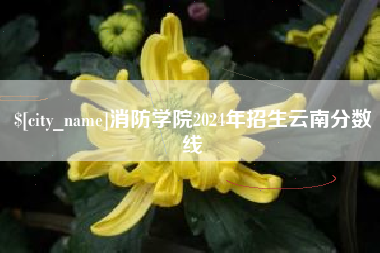 高平消防学院2024年招生云南分数线