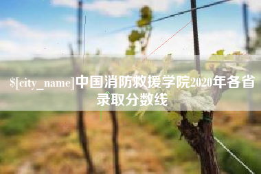 高平中国消防救援学院2020年各省录取分数线
