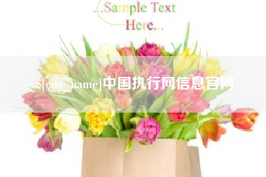 高平中国执行网信息官网