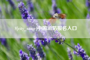 高平中国消防报名入口