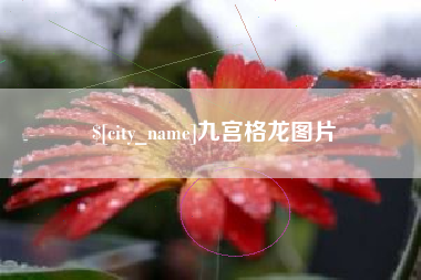 高平九宫格龙图片