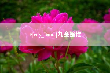 高平九金是谁