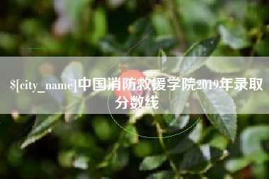 高平中国消防救援学院2019年录取分数线