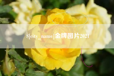 高平金牌图片2021