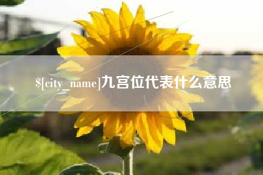 高平九宫位代表什么意思