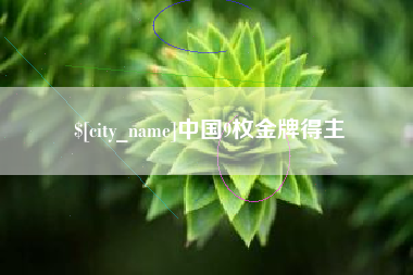 高平中国9枚金牌得主