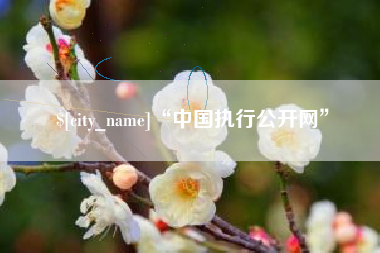 高平“中国执行公开网”