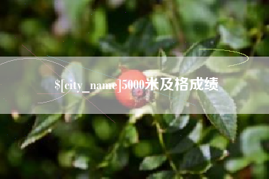 高平5000米及格成绩