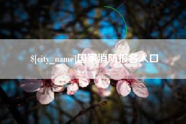 高平国家消防报名入口