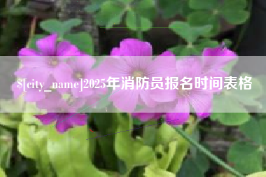 高平2025年消防员报名时间表格