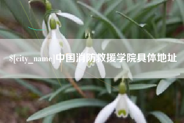 高平中国消防救援学院具体地址