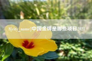 高平中国金牌是哪些项目2021
