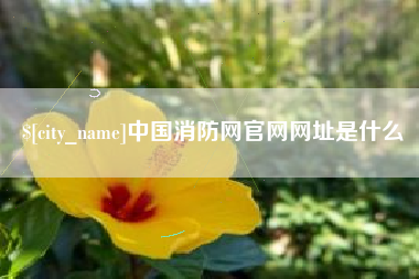 高平中国消防网官网网址是什么