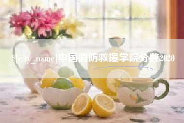 高平中国消防救援学院分数2020
