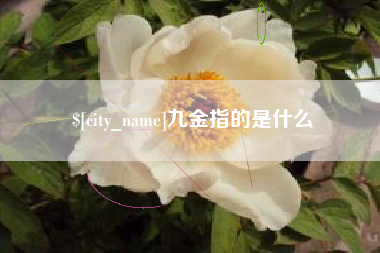 高平九金指的是什么