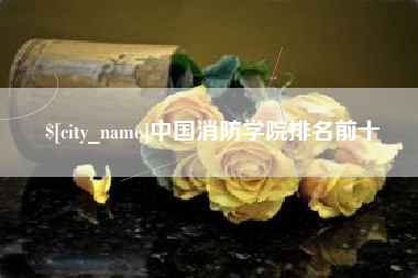 高平中国消防学院排名前十