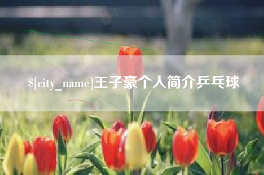 高平王子豪个人简介乒乓球