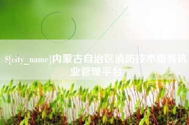 高平内蒙古自治区消防技术服务执业管理平台