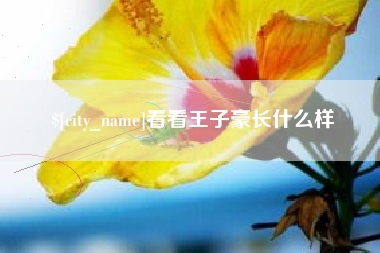 高平看看王子豪长什么样