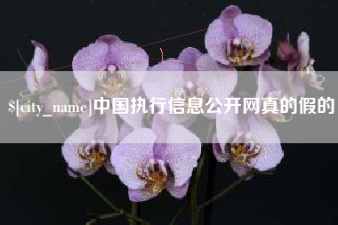 高平中国执行信息公开网真的假的