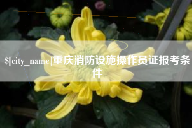 高平重庆消防设施操作员证报考条件