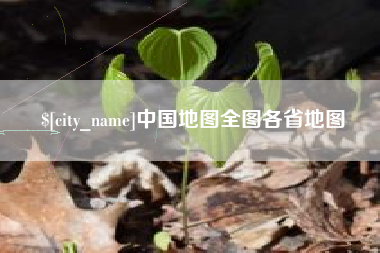 高平中国地图全图各省地图