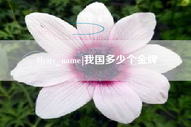 高平我国多少个金牌