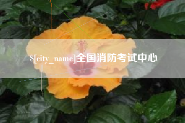 高平全国消防考试中心
