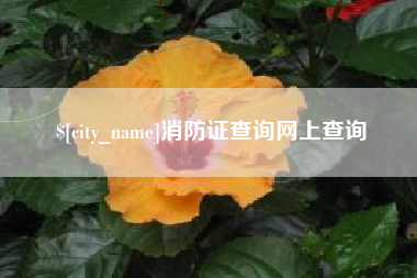 高平消防证查询网上查询