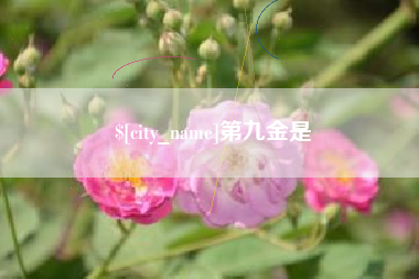 高平第九金是