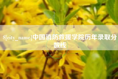 高平中国消防救援学院历年录取分数线
