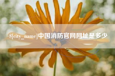 高平中国消防官网网址是多少