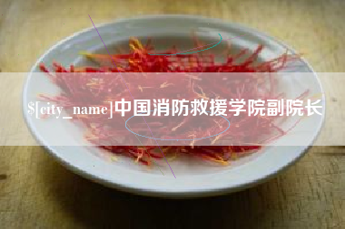 高平中国消防救援学院副院长