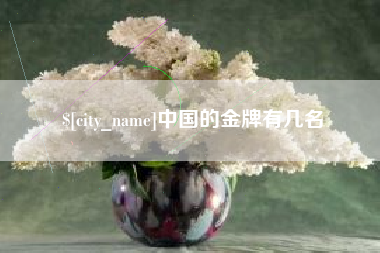 高平中国的金牌有几名