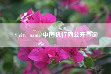 高平中国执行网公开查询